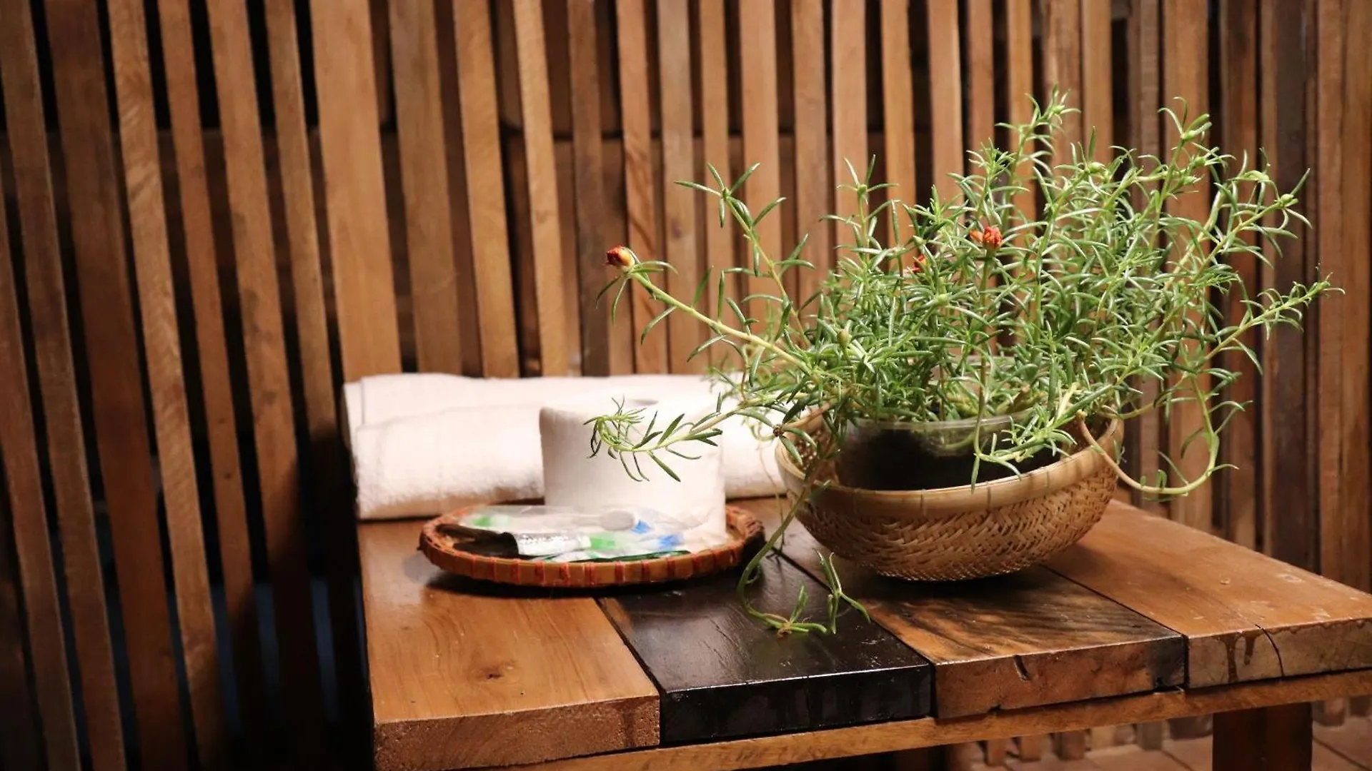 The GK House: Eco-Friendly Central Hostel with Rooftop Views Ho Chi Minh City