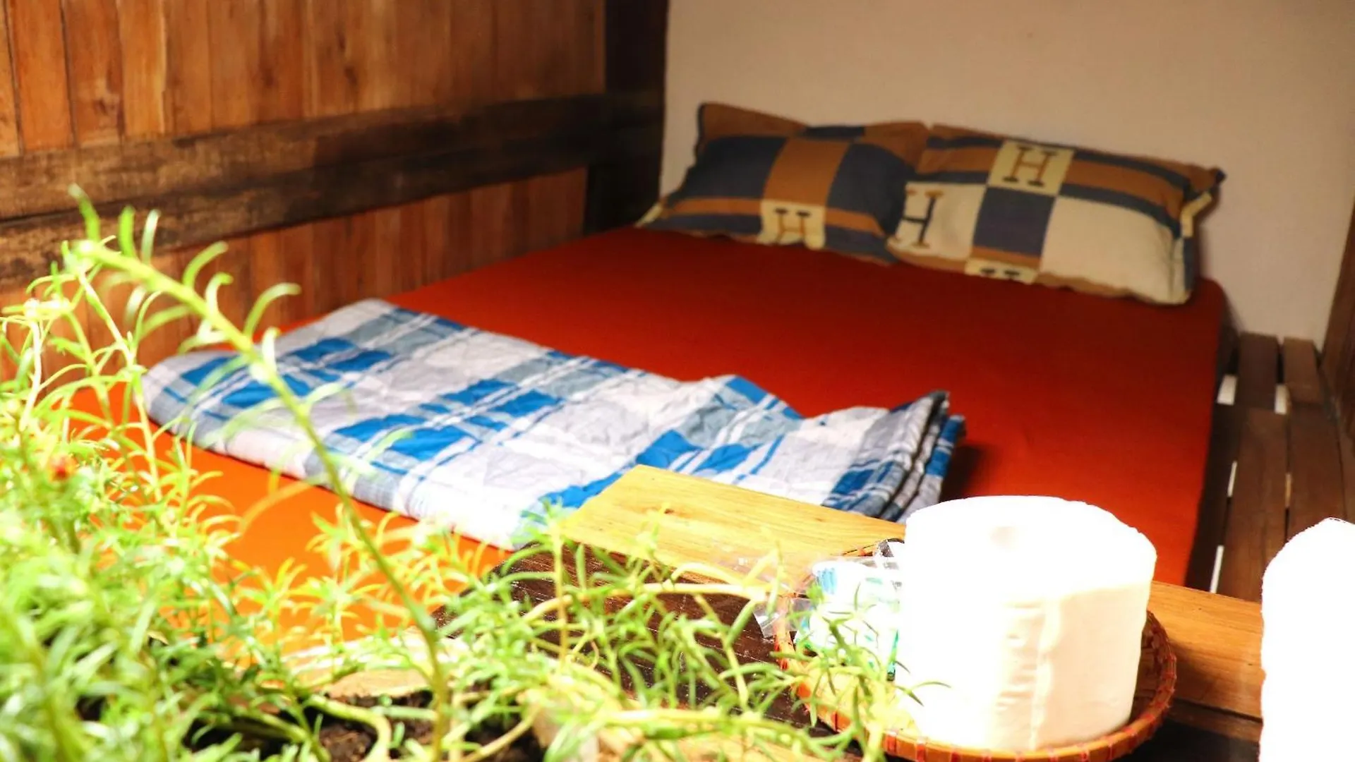 The GK House: Eco-Friendly Central Hostel with Rooftop Views Ho Chi Minh City